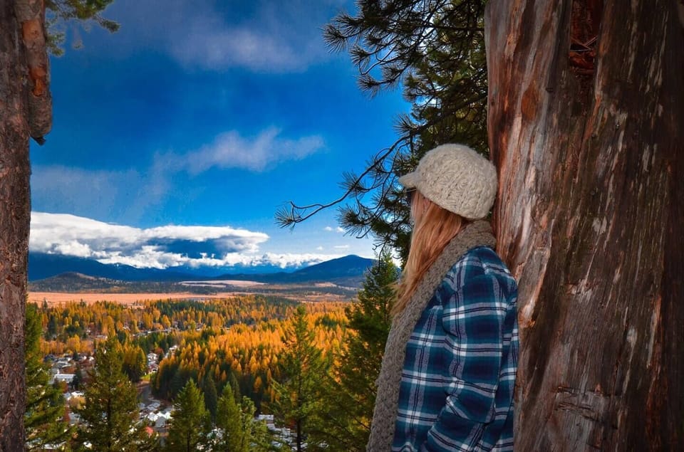 Larch season!