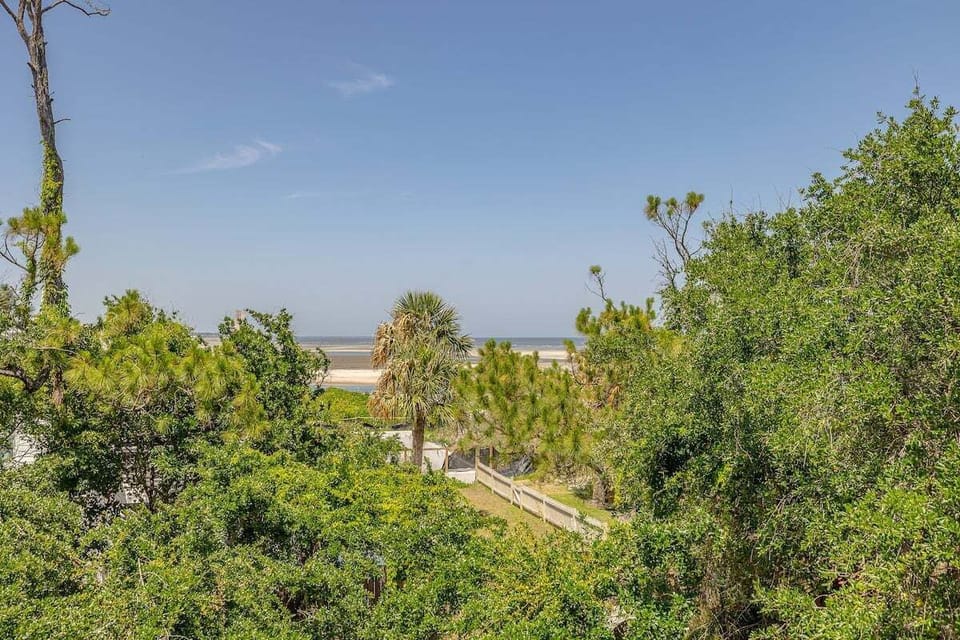 View of treetops and ocean from property