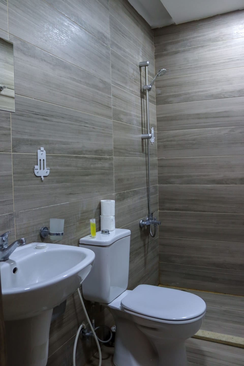 Shower, bidet, towels, soap