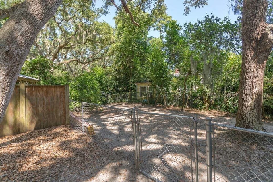 Backyard path and surrounding trees
