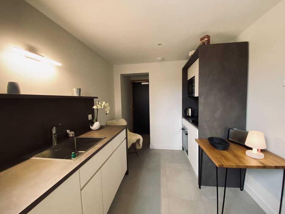 Panoramic Apartment, 2 Bedrooms | Private kitchen | Fridge, microwave, oven, stovetop