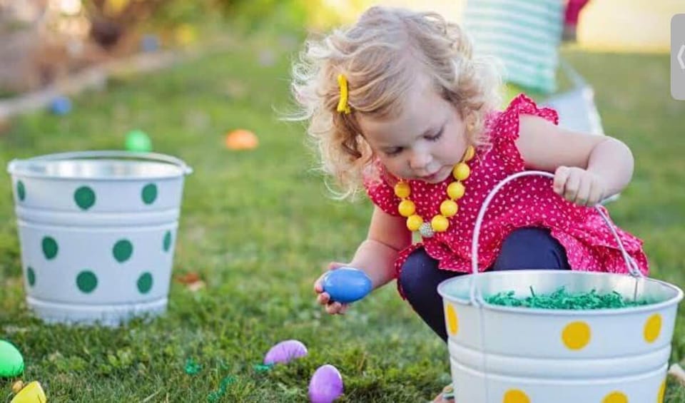 The front lawn is great for games &amp; Easter egg hunts.