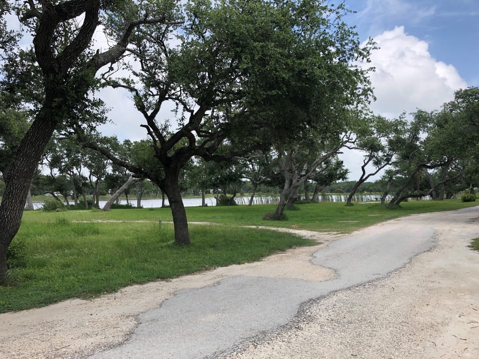 view from front porch