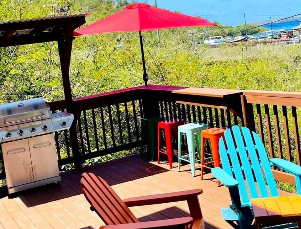 Patio and Grilling Area (2)