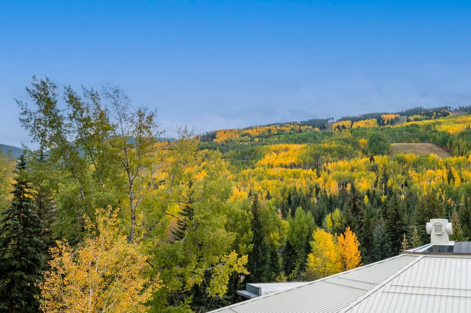Fall view of Vail ski area from bedrooms. 