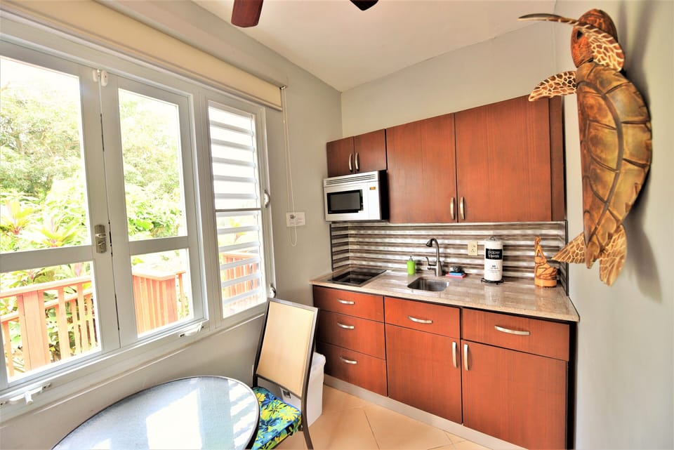 kitchenette with granite countertop, two burner stove, microwave, tall fridge