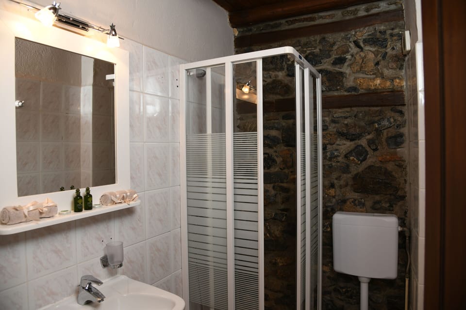 Shower, rainfall showerhead, hair dryer, towels