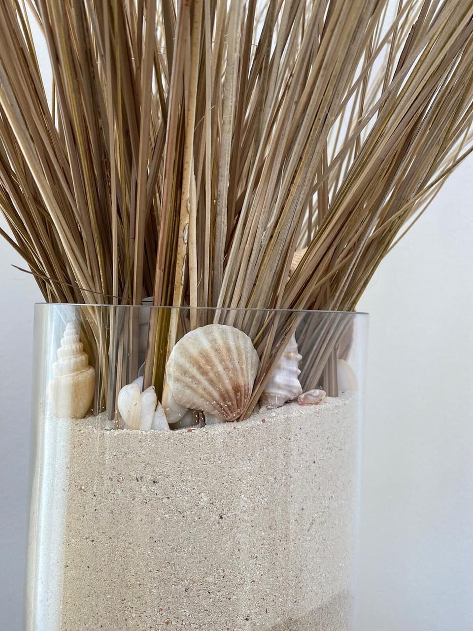 Sand from various beaches 