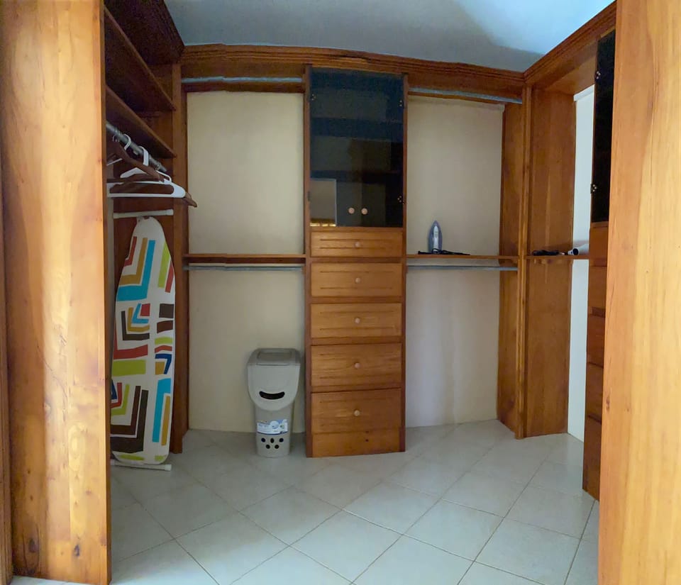 walk in closet 