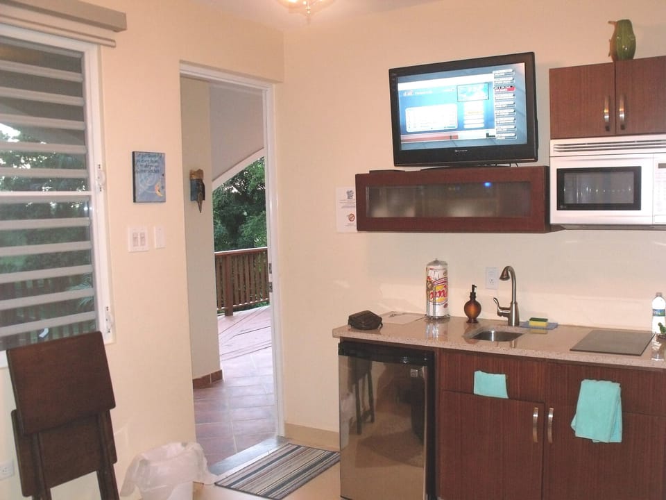 kitchenette with granite countertop two burner stove, microwave, small fridge