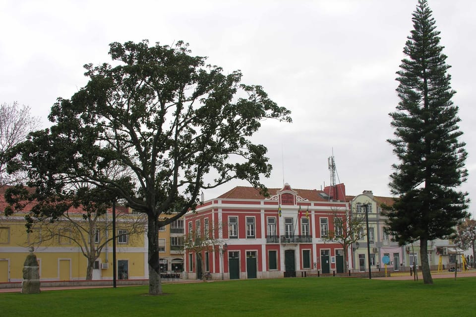 City view,Garden view
