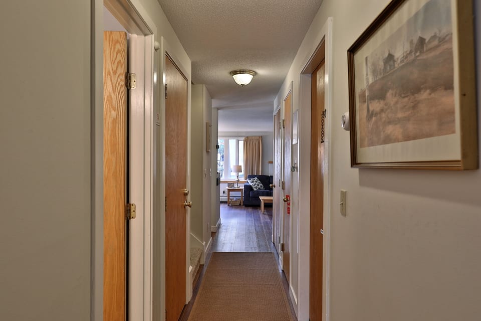 Hallway view to the living area