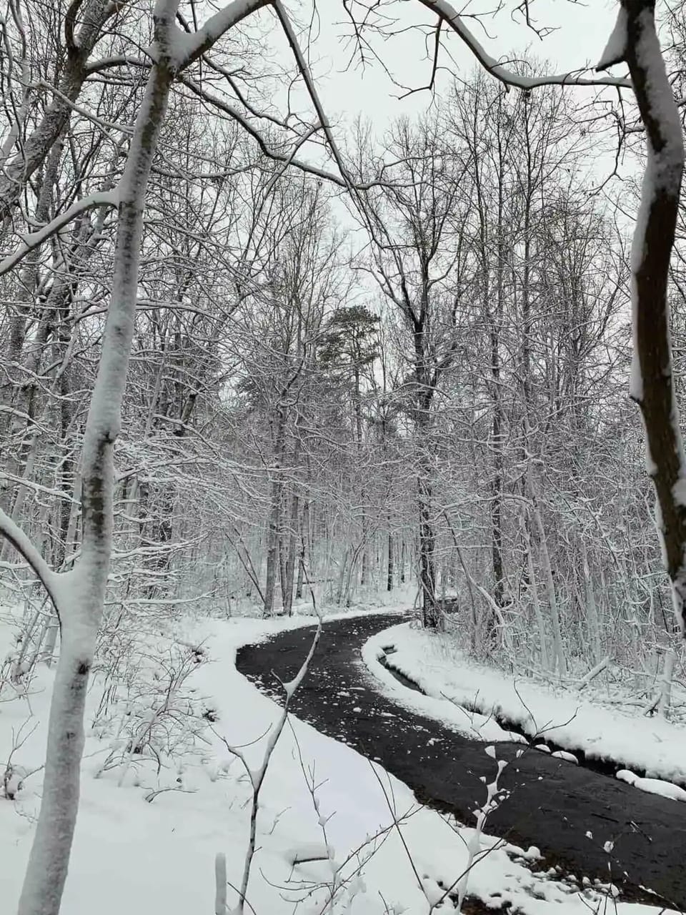 The winter wonderland around your cabin