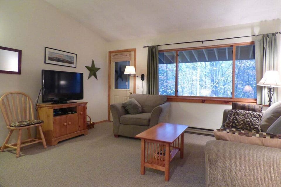 Living Area with Sleep Sofa