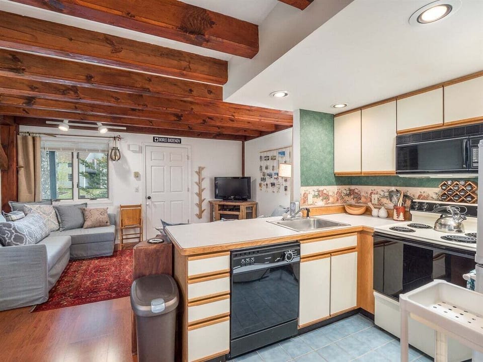 Kitchen Area/Living Area