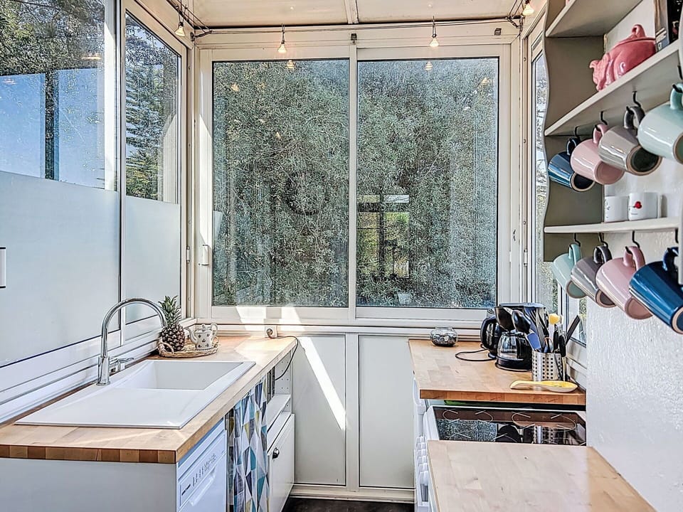 Kitchen, Interior Design, Countertop, Major Appliance, Kitchen Appliance, Home, Plumbing Fixture, Kitchen Sink, Tap, Sink