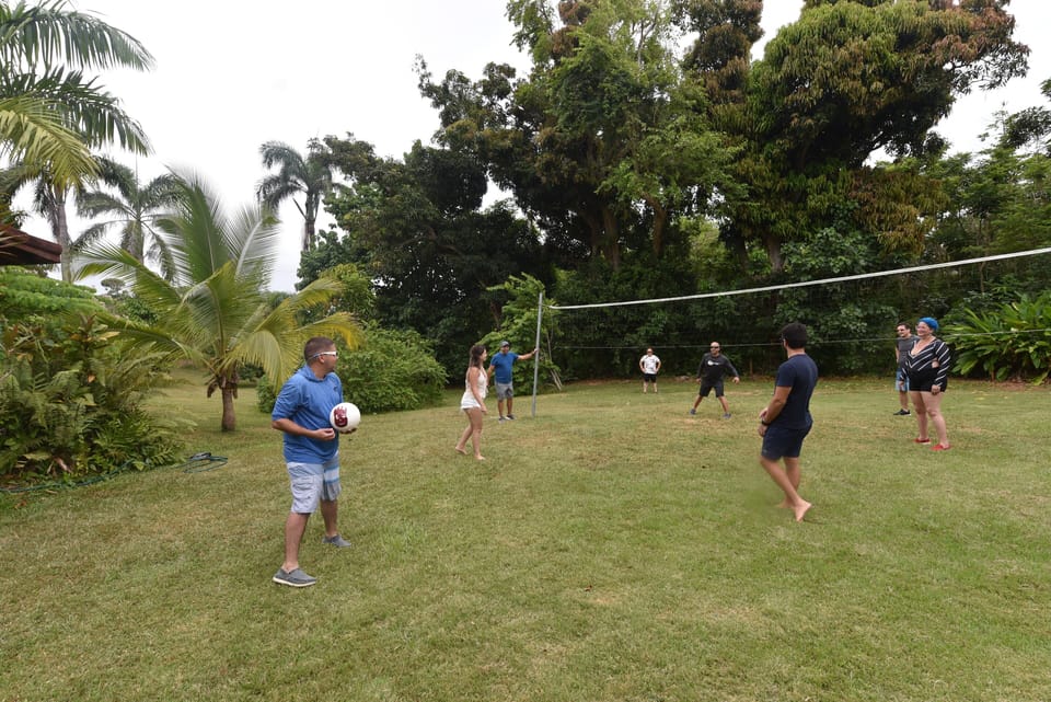 volley