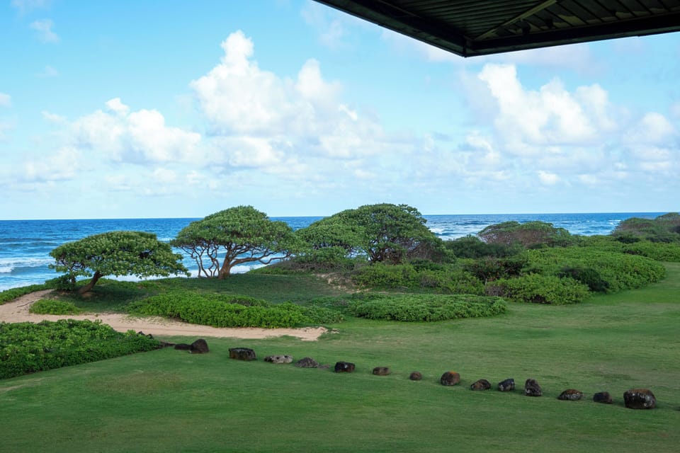 view from lanai/porch