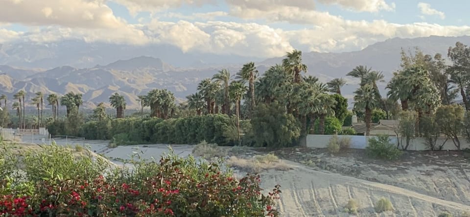 View of the Wash from the patio.