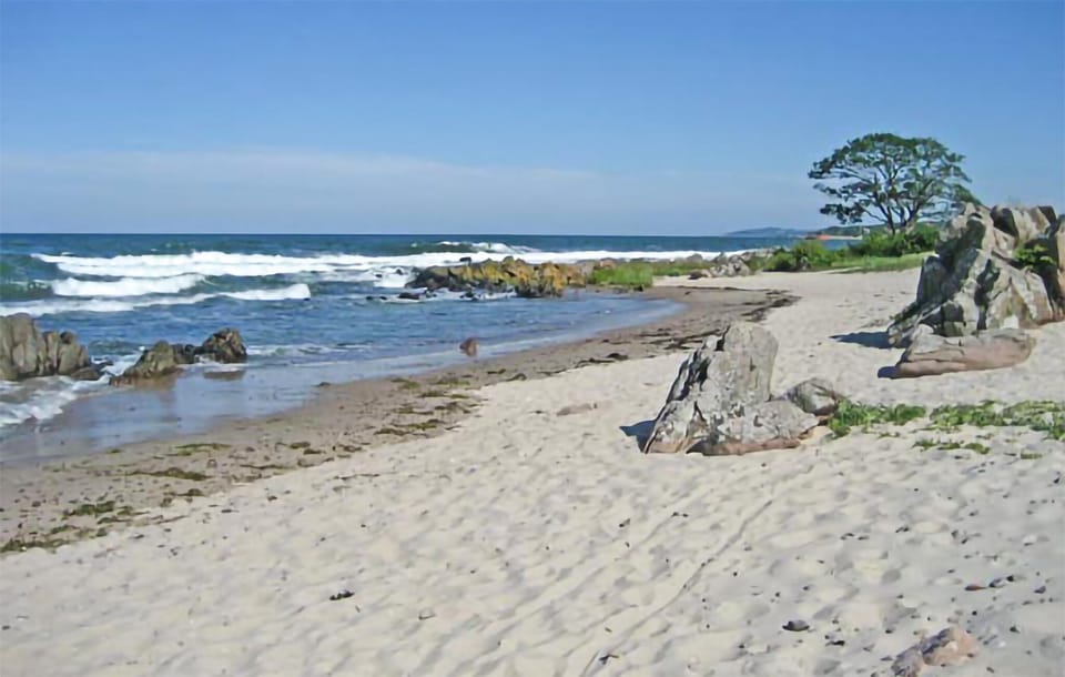 area