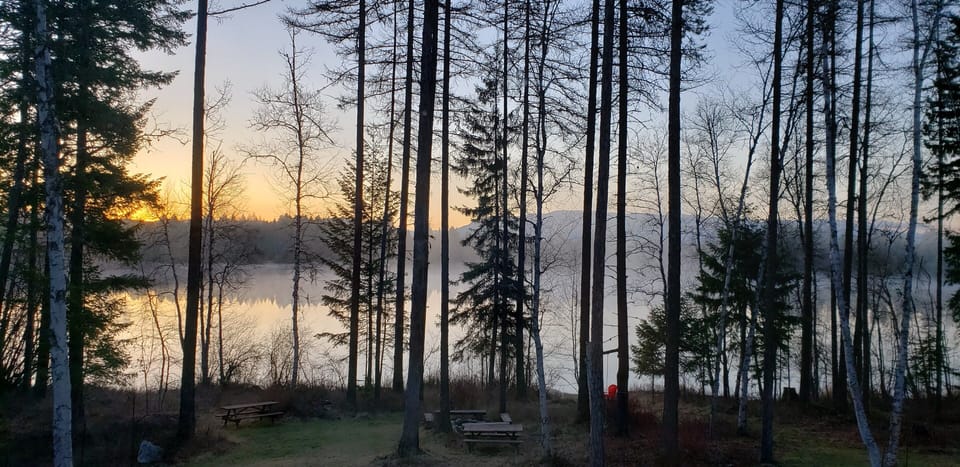 The view of the lake from the cabin.