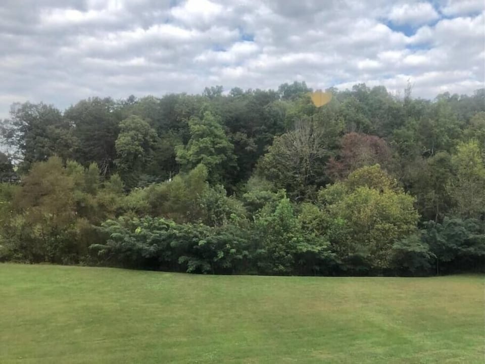 Acres of space to enjoy in peace and quiet!