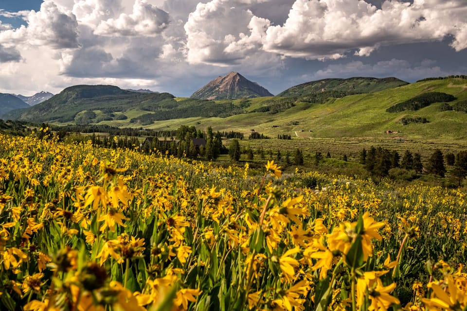 Enjoy the "Wildflower capital of Colorado"!