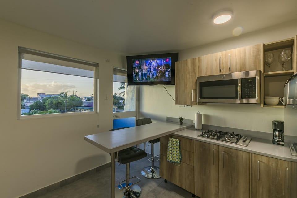 Turibana Plaza Suite #3 (529)