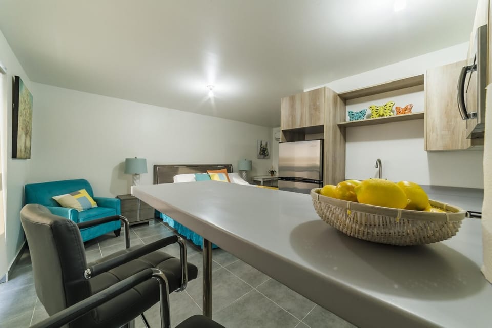 Turibana Plaza Suite #3 (409)