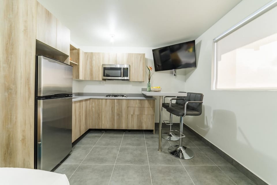 Turibana Plaza Suite #3 (406)