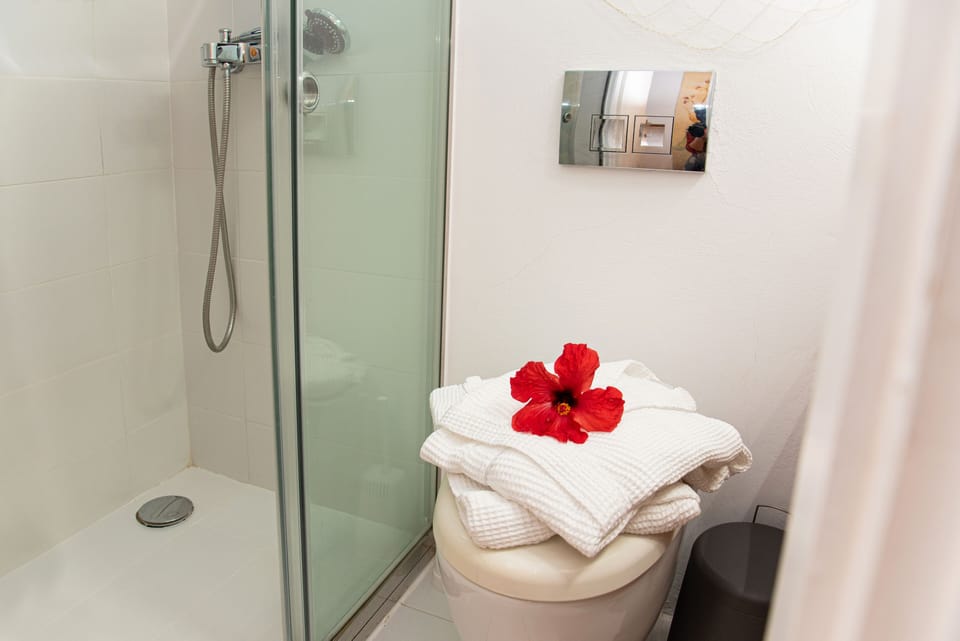Shower, designer toiletries, hair dryer, bathrobes