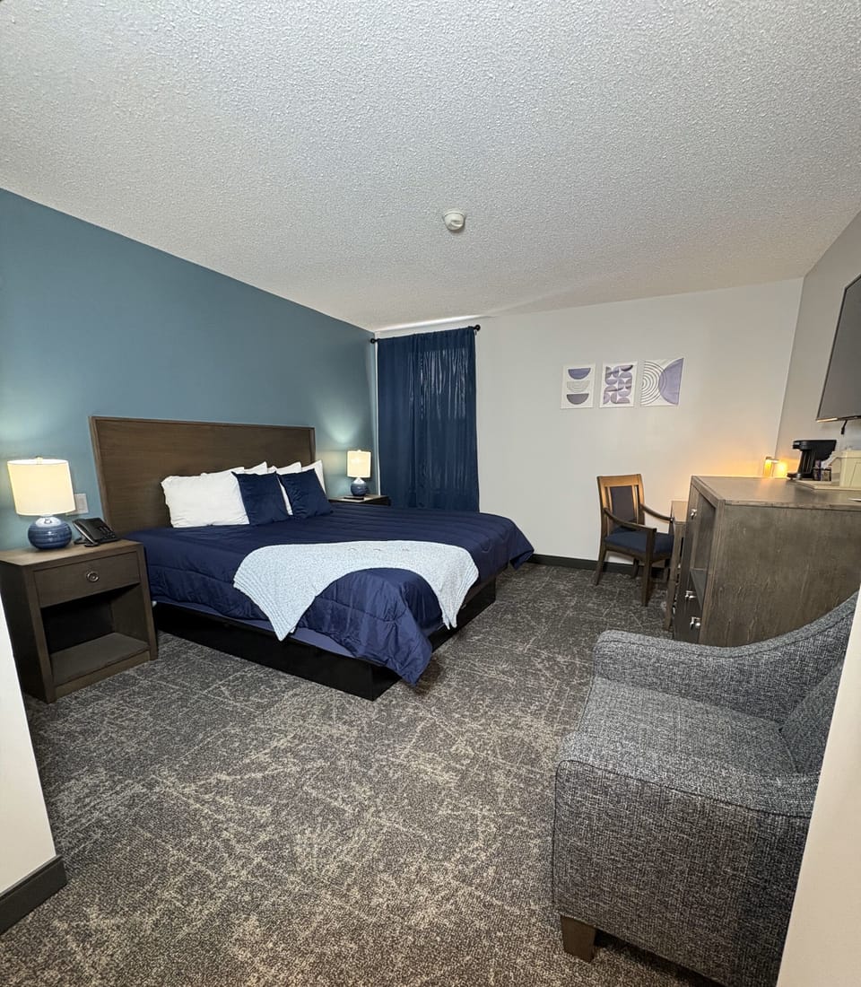 Standard Single Room, 1 King Bed, Non Smoking | Individually decorated, individually furnished, desk, laptop workspace