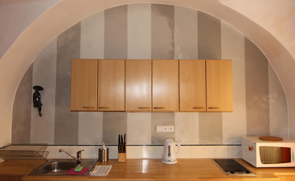 Apartment | Private kitchen | Fridge, microwave, oven, stovetop
