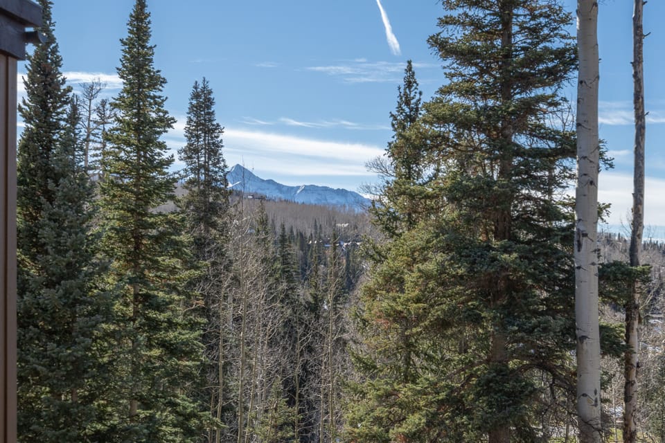 10.01-lodge-at-belvedere-mountain-village-vacation-rental-Mountain-View