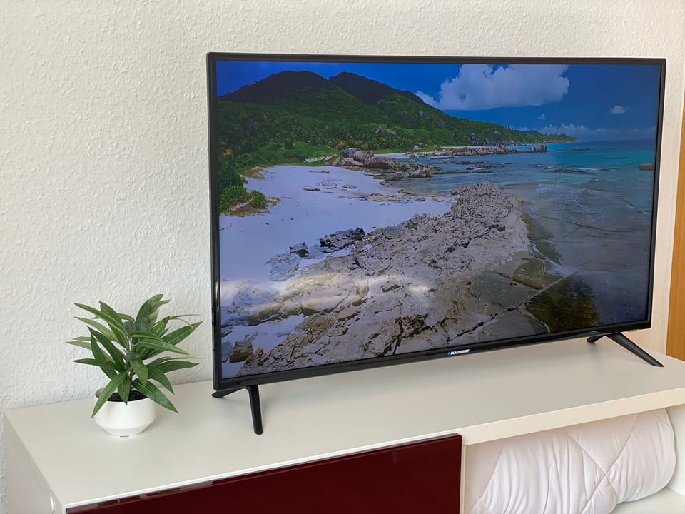 Television