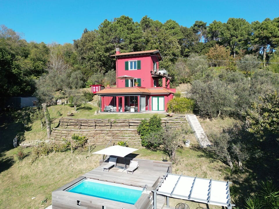 Garden, Outdoor, Pool