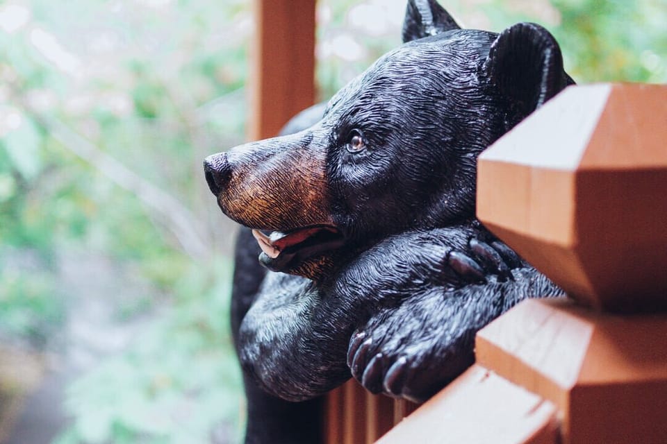 You're greeted by Louie the bear at the front door