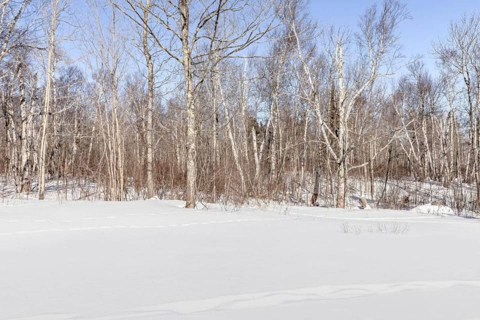 Behind your firepit is just miles and miles of US national forest.  There is also a 5 minute walking trail that connects to the Gitchi-gami state trail.
