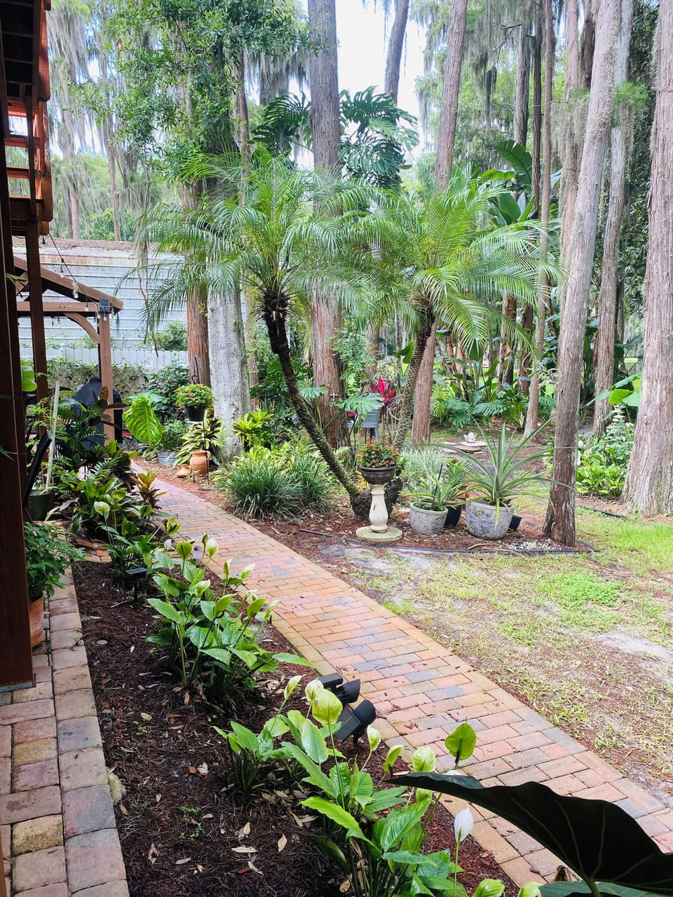 The garden grounds