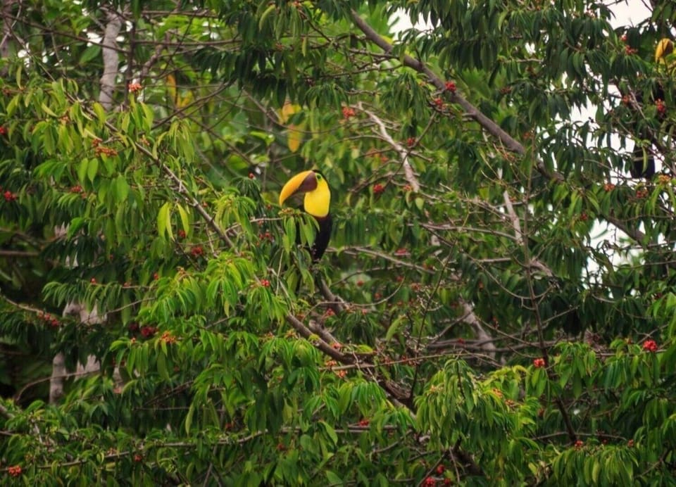 Wildlife at the property