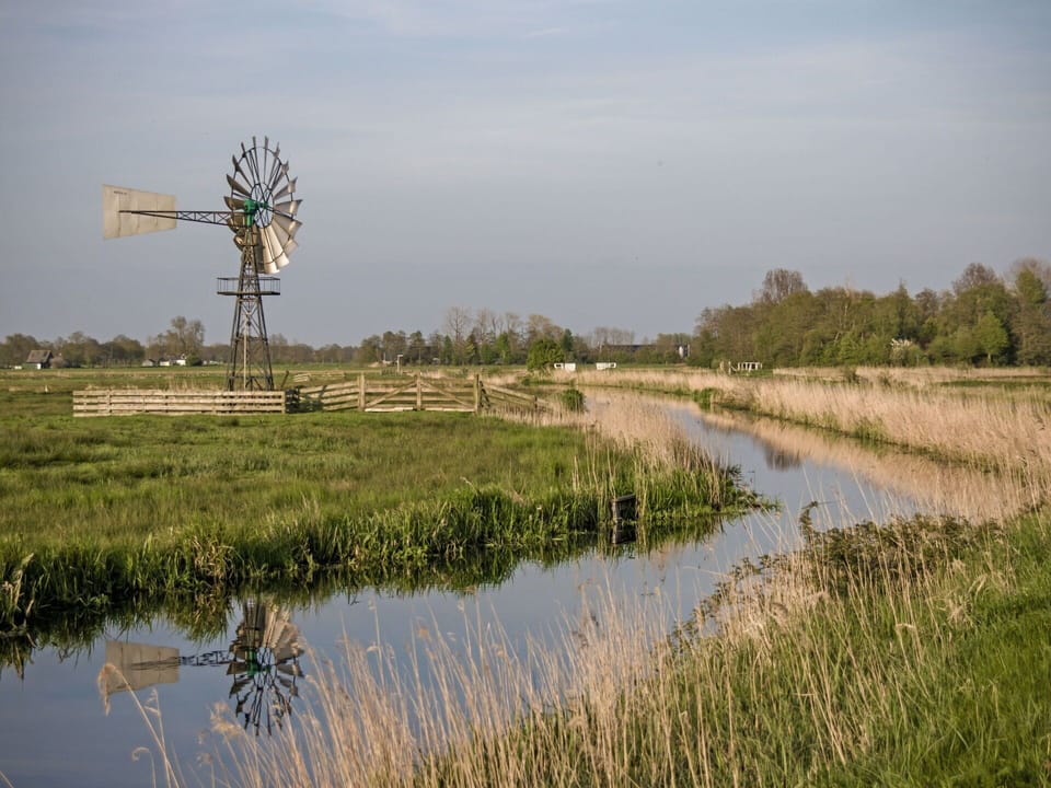 Water, Sky, Plant, Ecoregion, Cloud, Natural Landscape, Tree, Agriculture, Grass
