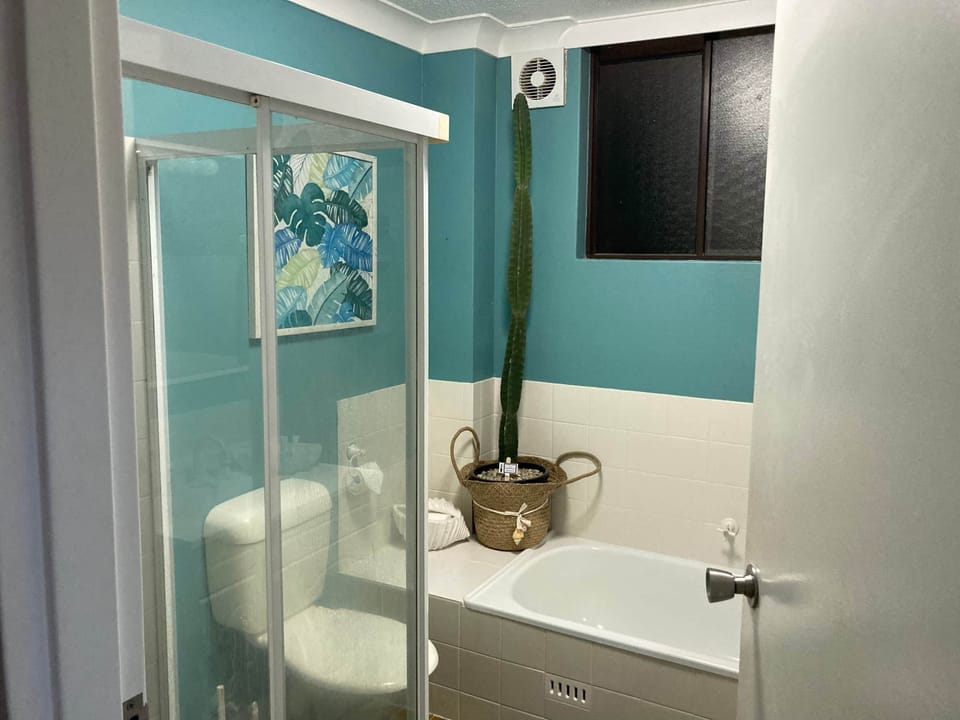 1166 Bathroom with Fernando the cactus