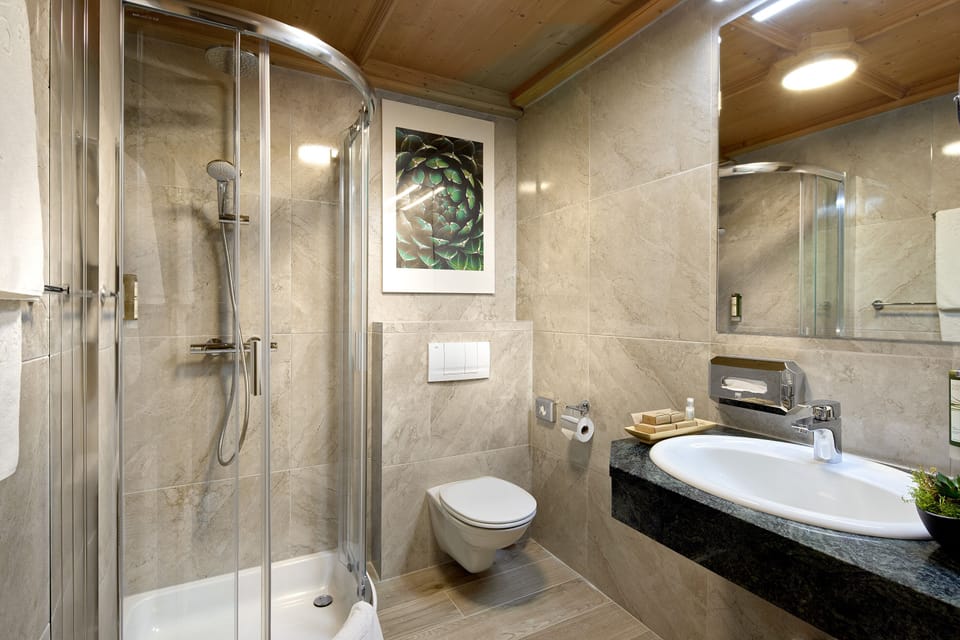 Hair dryer, bathrobes, slippers, towels