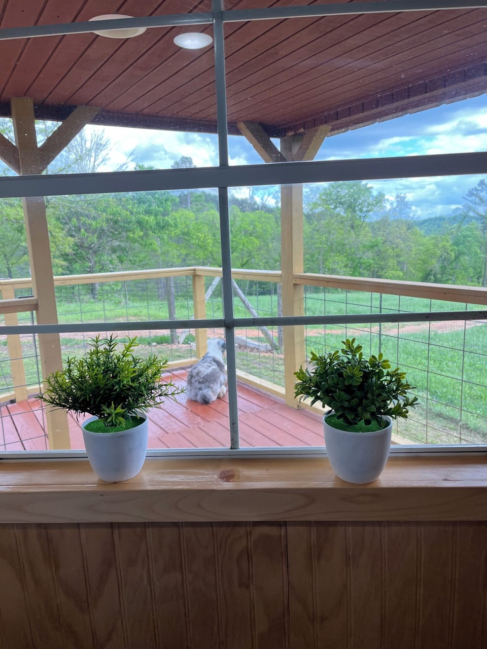 Front porch view from kitchen