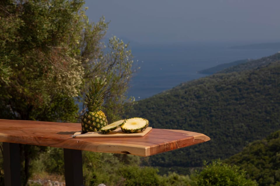 view