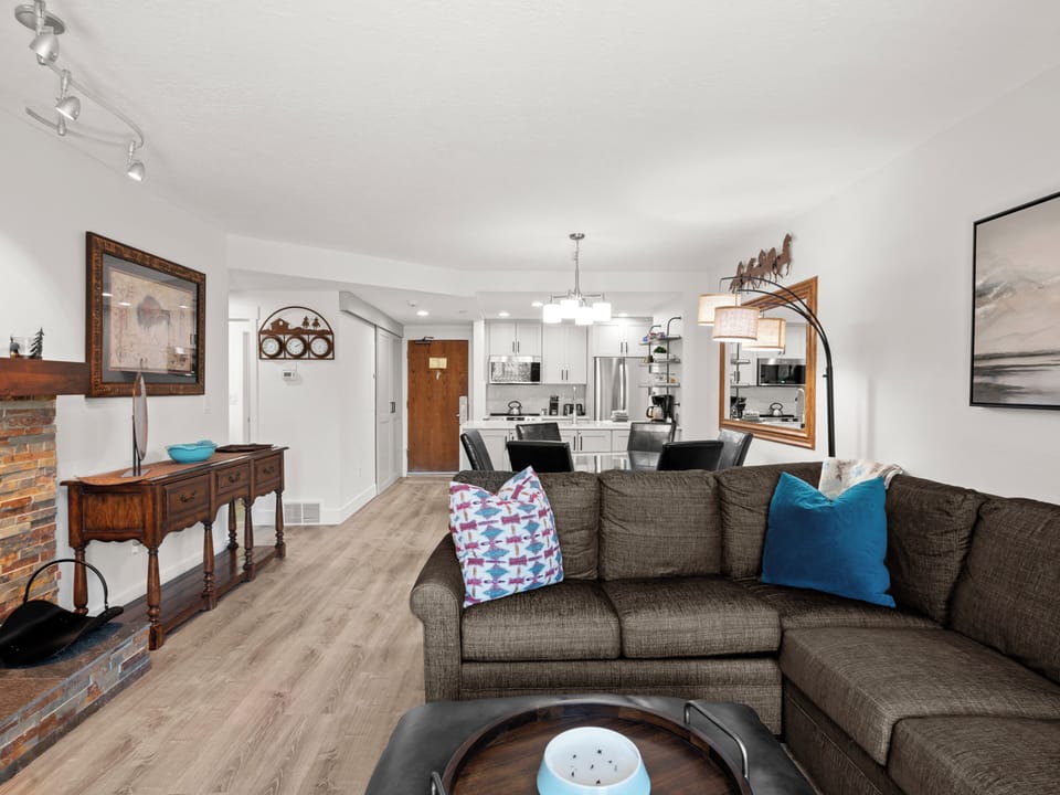 Living Area / Kitchen