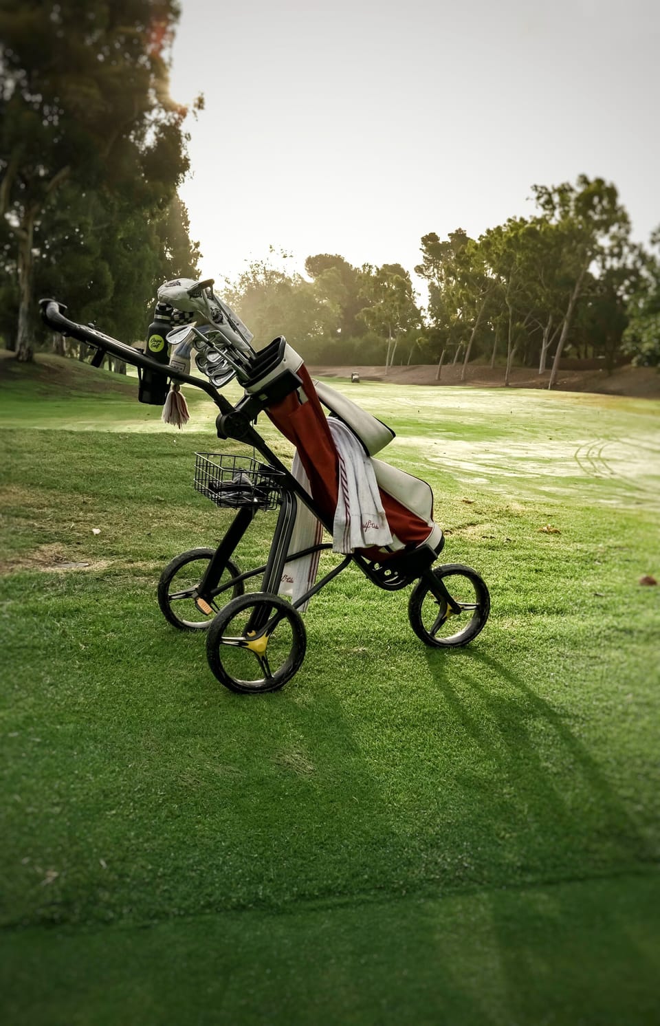Scamander Golf Club