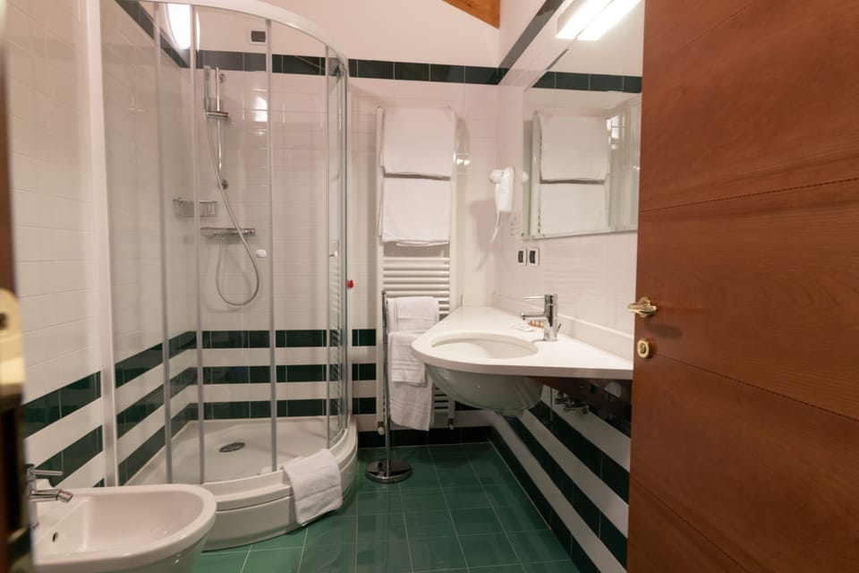 Hair dryer, bidet, towels, soap