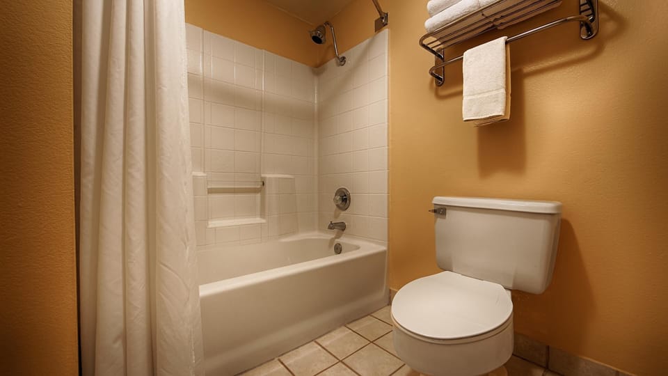 Combined shower/tub, free toiletries, hair dryer, towels