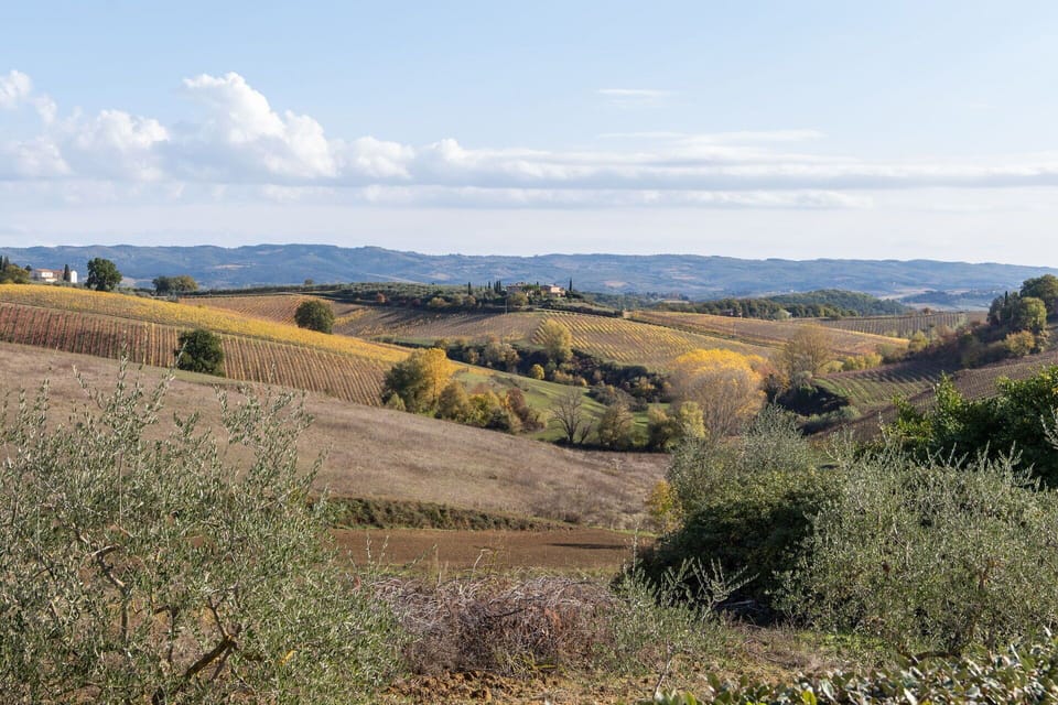 Autumn, Scenic View, Spring, Summer